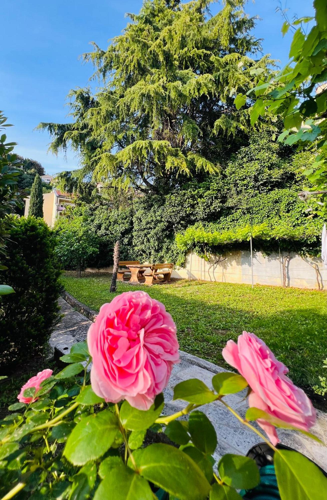 Villa Verde Piran, Authentic Mediterranean Stay Экстерьер фото